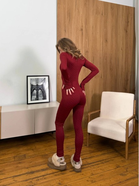 Женский комбинезон из трикотажа бордового цвета 30324