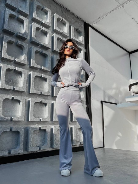 Велюровий жіночий костюм сiрого кольору 31424