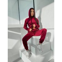Спортивний велюровий костюм бордового кольору 32189