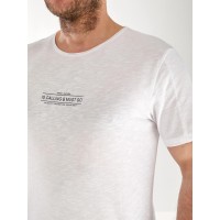 Футболка чоловіча світло-сірого кольору 33314