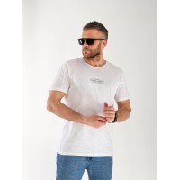 Футболка чоловіча світло-сірого кольору 33314