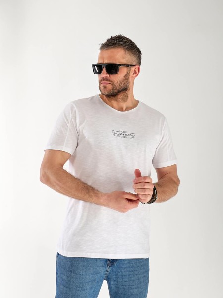 Футболка чоловіча світло-сірого кольору 33314