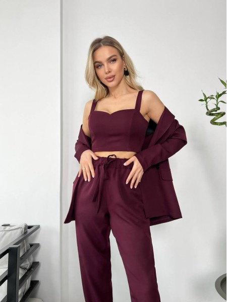 Костюм-трійка кольору марсала 24437 АА