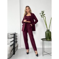 Костюм-трійка кольору марсала 24437 АА