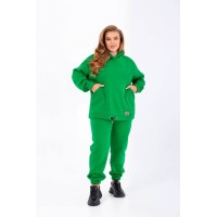 Стильний жіночий спортивний костюм кольору трава 25371 N
