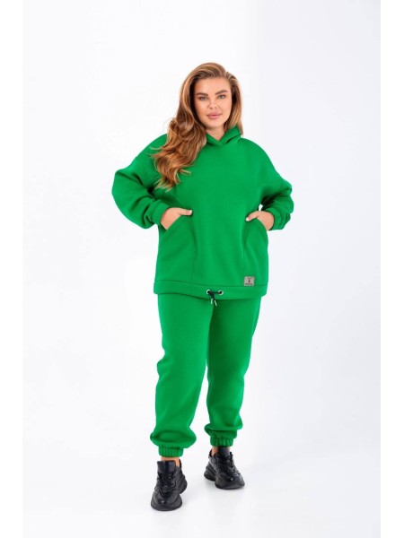 Стильный женский спортивный костюм цвета трава 25371