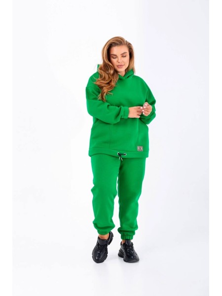 Стильный женский спортивный костюм цвета трава 25371