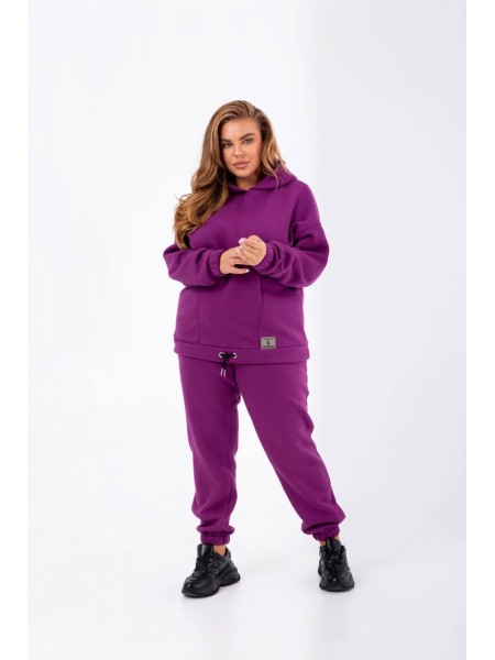 Стильный женский спортивный костюм сиреневого цвета 25372