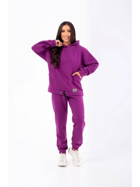 Стильный женский спортивный костюм сиреневого цвета 25398