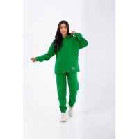 Стильний жіночий спортивний костюм кольору трава 25399 N