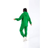 Стильний жіночий спортивний костюм кольору трава 25399 N