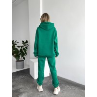 Теплий жіночий костюм з капюшоном зеленого кольору 29398