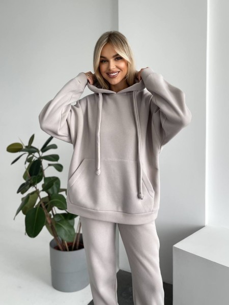 Теплый женский костюм с капюшоном серого цвета 29404