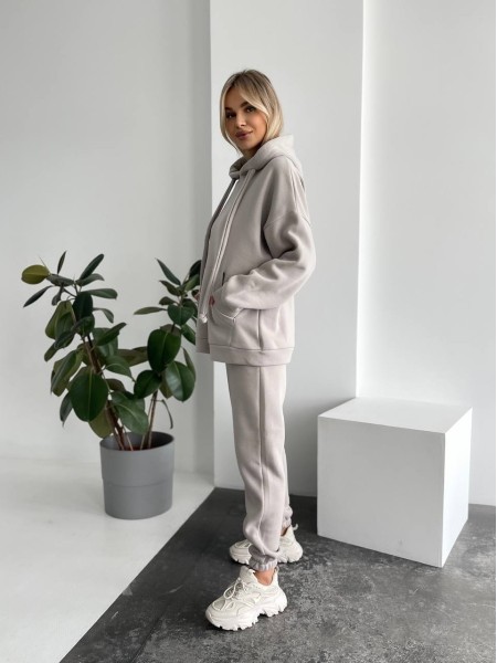 Теплый женский костюм с капюшоном серого цвета 29404