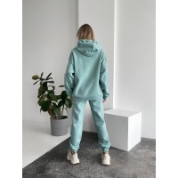 Теплий жіночий костюм з капюшоном фiсташкового кольору 29405