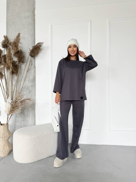 Жіночий прогулянковий костюм з теплого трикотажу сірого кольору 29702